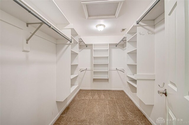 walk in closet with light colored carpet