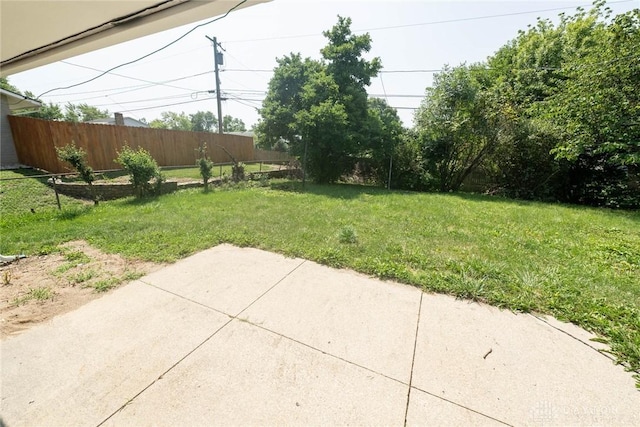 view of yard featuring a patio area