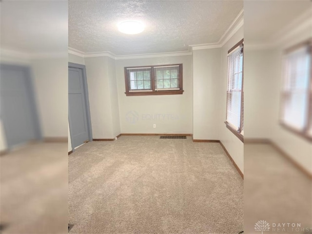 unfurnished bedroom with carpet flooring, crown molding, and a textured ceiling