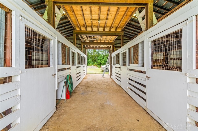 view of horse barn