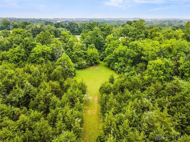 bird's eye view