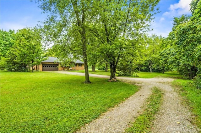 view of yard featuring an attached garage and driveway