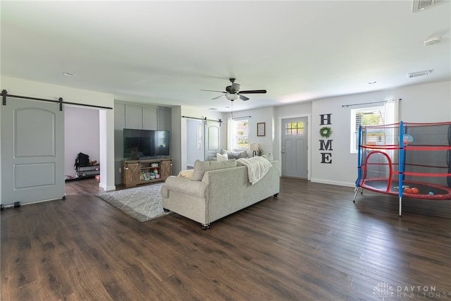 living room with a barn door, a healthy amount of sunlight, and dark hardwood / wood-style floors