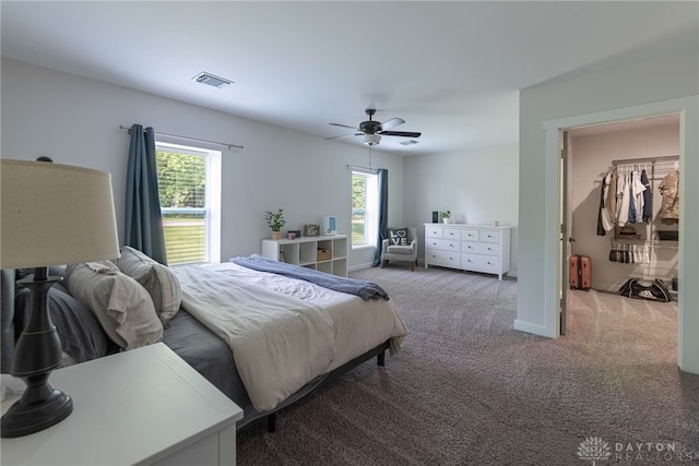 carpeted bedroom featuring ceiling fan and a spacious closet