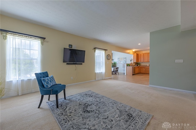 living area featuring light carpet