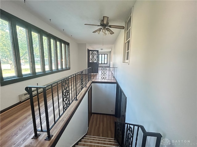 staircase with wood-type flooring, a healthy amount of sunlight, and ceiling fan