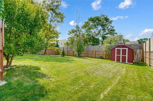 view of yard featuring a storage unit