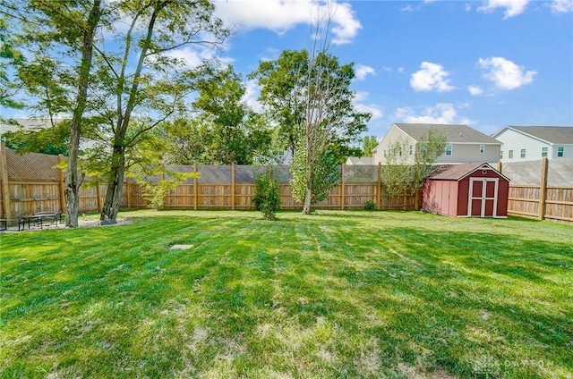 view of yard featuring a shed