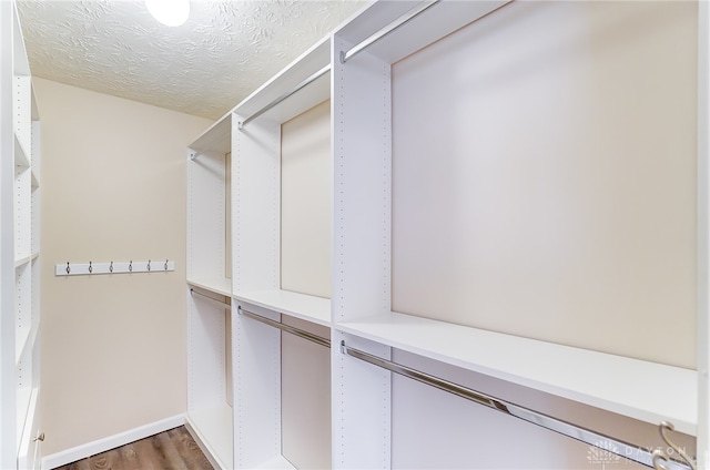 spacious closet featuring hardwood / wood-style floors