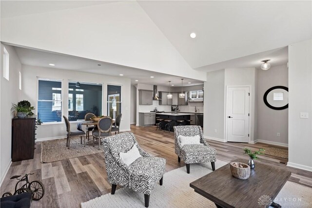 living room featuring high vaulted ceiling and light hardwood / wood-style floors