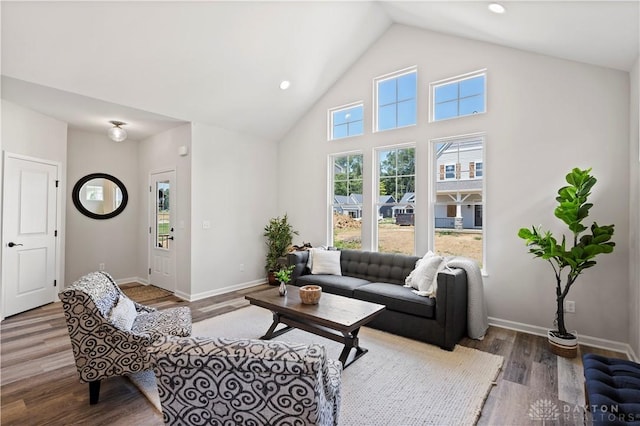 living room with wood-type flooring and high vaulted ceiling