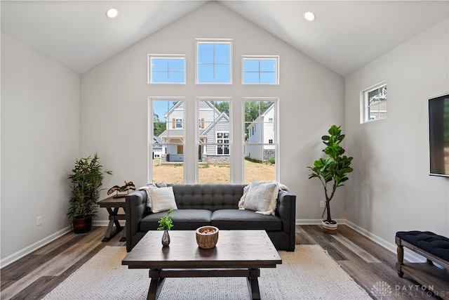 living room featuring high vaulted ceiling and hardwood / wood-style flooring