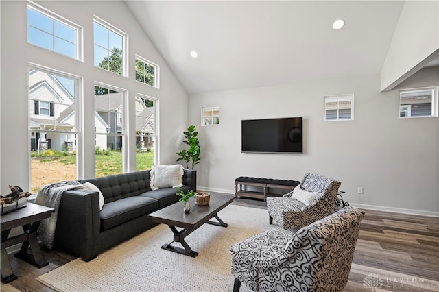 living room featuring high vaulted ceiling and wood-type flooring