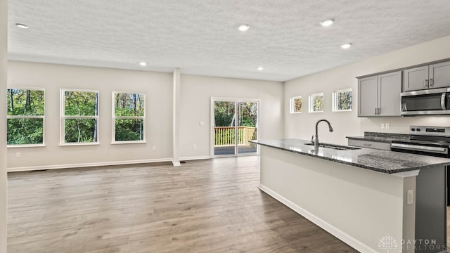 kitchen with gray cabinetry, a healthy amount of sunlight, stainless steel appliances, and dark stone counters