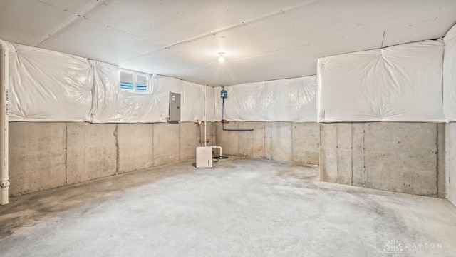 basement with electric panel