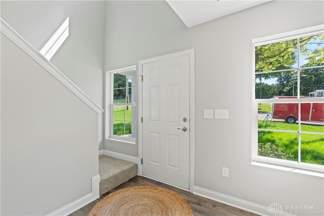 foyer entrance with dark hardwood / wood-style flooring and a wealth of natural light