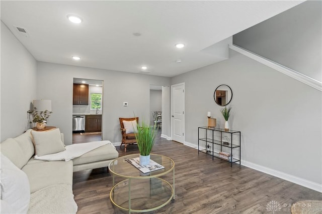 living room featuring dark hardwood / wood-style flooring and sink