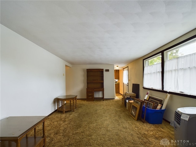 sitting room featuring carpet flooring