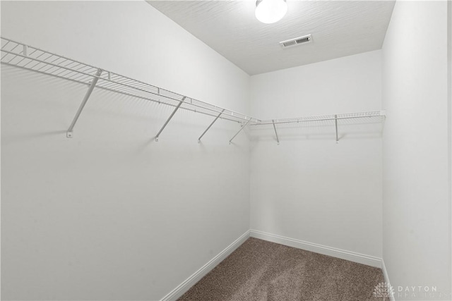 spacious closet featuring carpet flooring