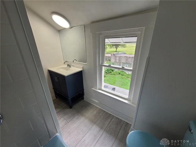 bathroom with wood-type flooring and vanity