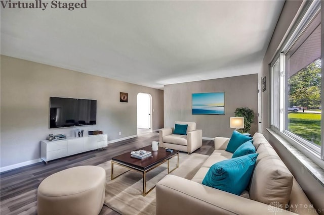 living room with wood-type flooring