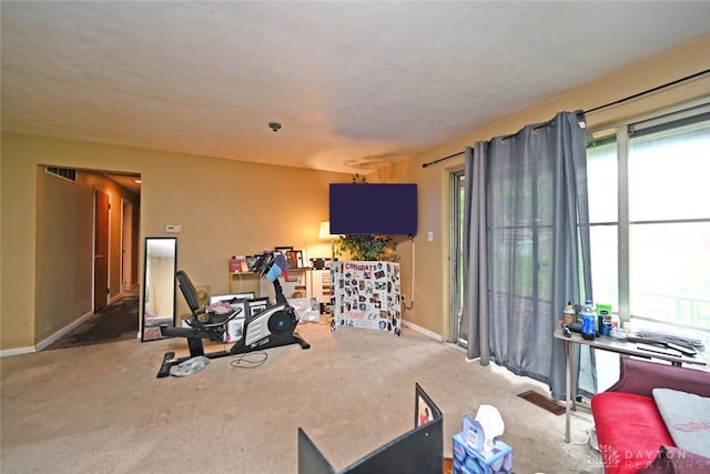 exercise room featuring carpet floors and a healthy amount of sunlight