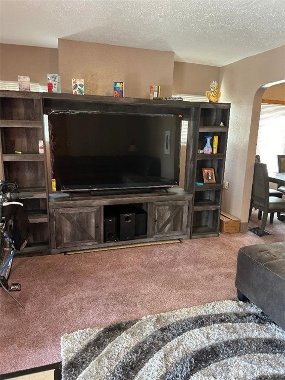 living room with carpet flooring and a textured ceiling