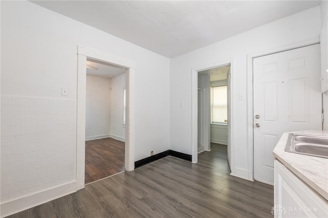 interior space featuring dark wood-type flooring and sink