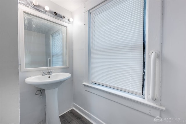 bathroom with wood-type flooring