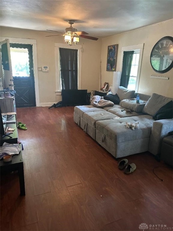 living room featuring a healthy amount of sunlight, hardwood / wood-style floors, and ceiling fan