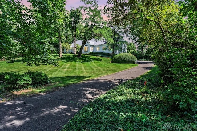 view of property's community featuring a lawn