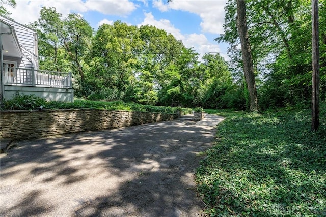 view of road featuring driveway