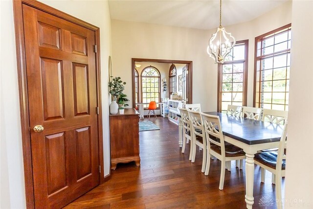 dining room featuring plenty of natural light, a chandelier, and dark hardwood / wood-style floors