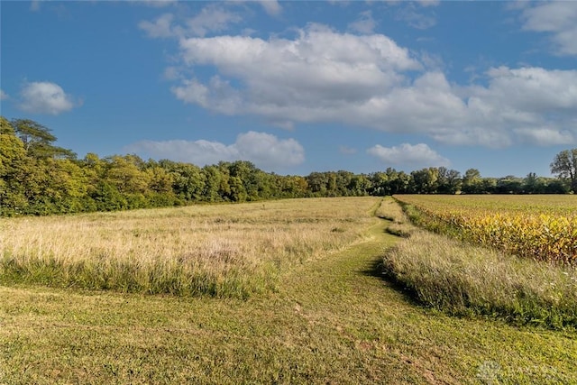 view of nature with a rural view