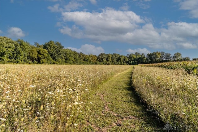 view of nature featuring a rural view