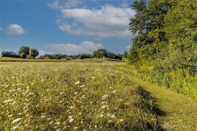 view of local wilderness with a rural view