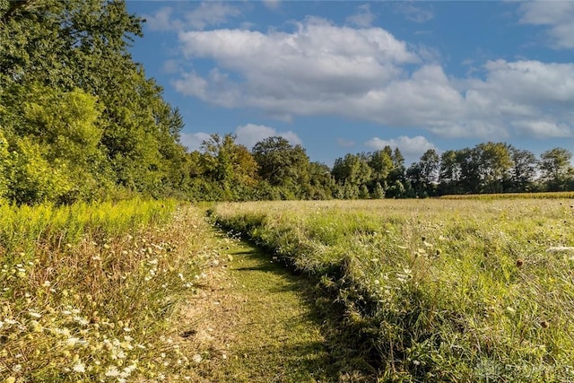 view of nature with a rural view