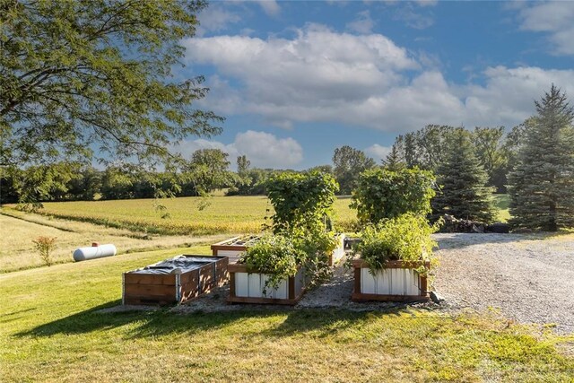 view of yard featuring a rural view