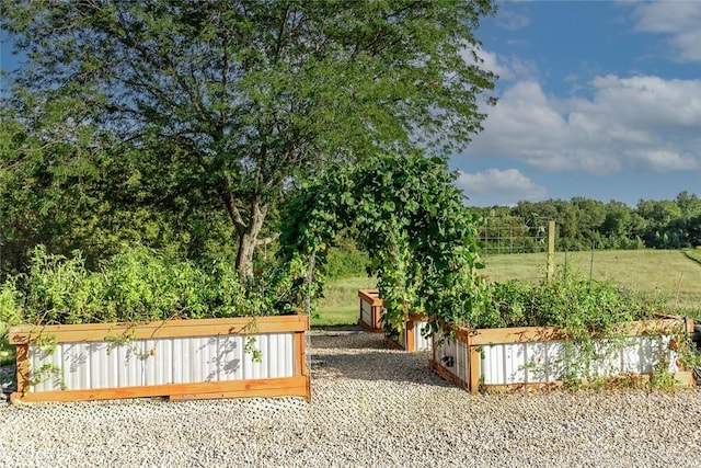 exterior space featuring a lawn