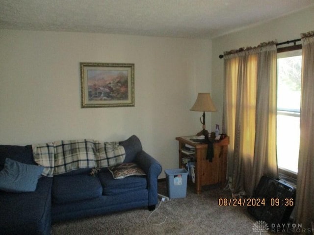 living room with carpet flooring and a textured ceiling