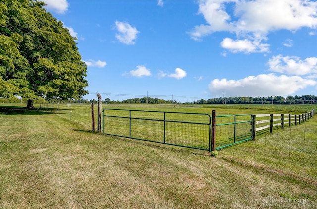 view of yard with a rural view