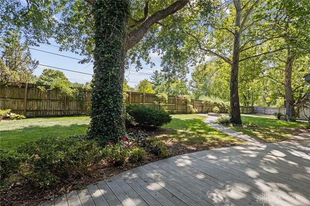 view of yard with a deck