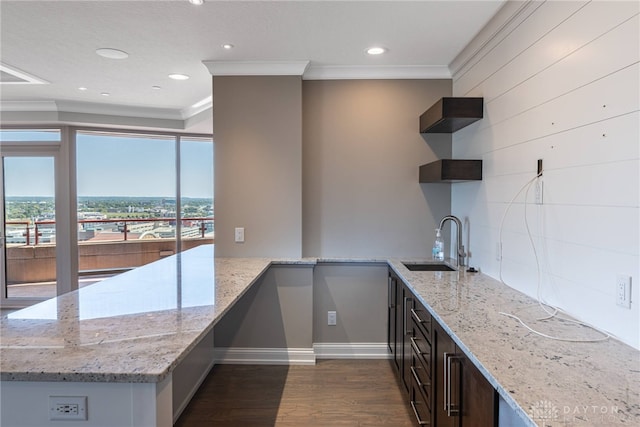 kitchen featuring light stone counters, dark wood-type flooring, a sink, and ornamental molding