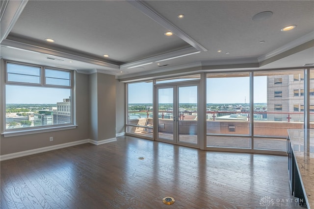 spare room featuring dark wood-type flooring, a tray ceiling, a city view, and plenty of natural light