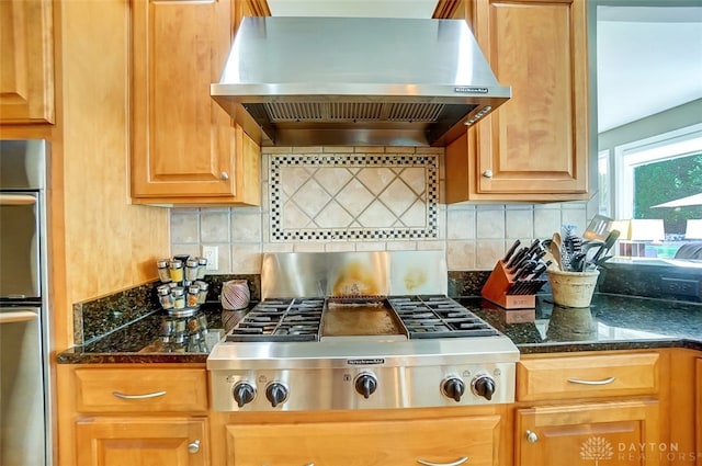 kitchen with tasteful backsplash, exhaust hood, and stainless steel appliances