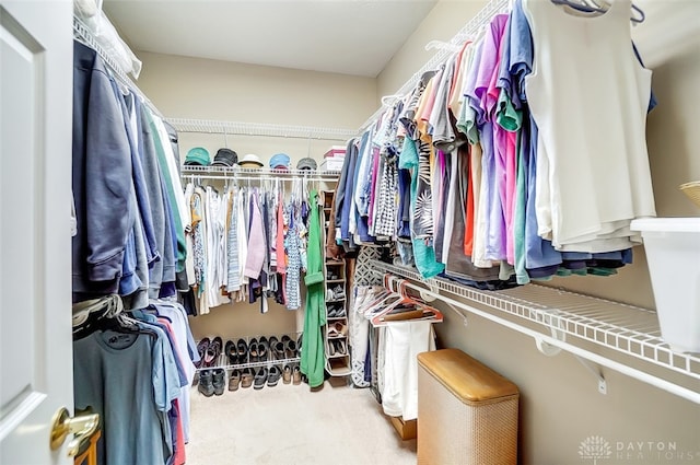 walk in closet with light colored carpet