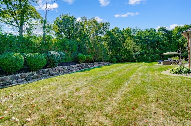 view of yard featuring a patio area