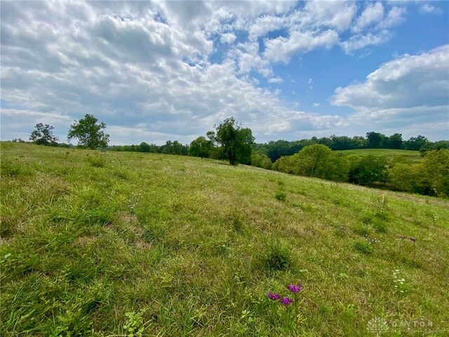 view of local wilderness featuring a rural view