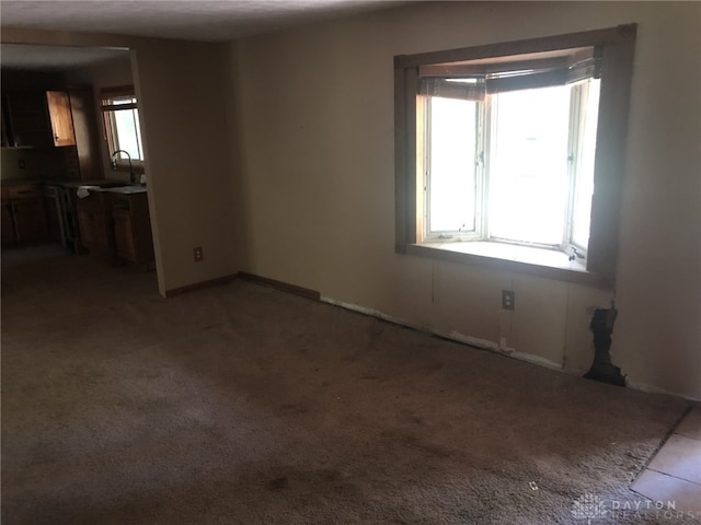 spare room featuring a wealth of natural light, sink, and light carpet