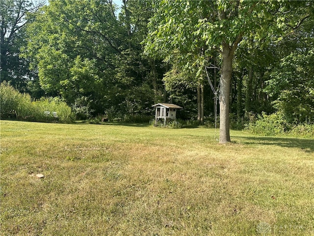 view of yard featuring a storage shed